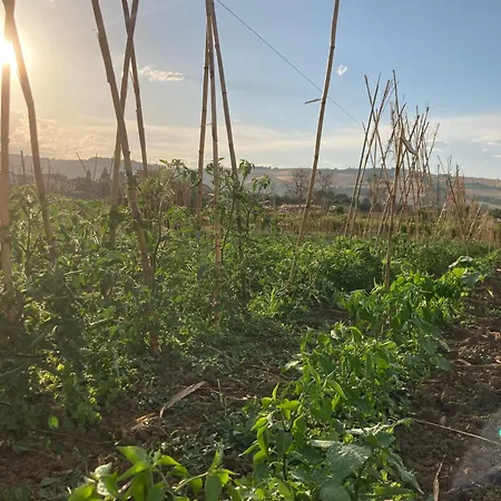 La Casa Nell'orto Bed & Breakfast