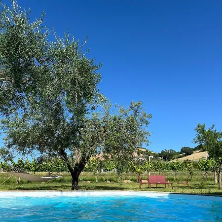 La Casa Nell'orto Bed & Breakfast