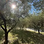 La Casa Nell'orto 3* Fermo