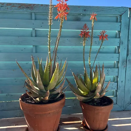 La Casa Nell'orto Bed & Breakfast