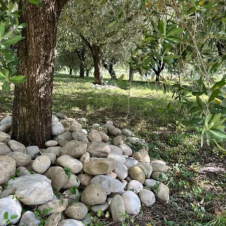 La Casa Nell'orto Bed & Breakfast Fermo