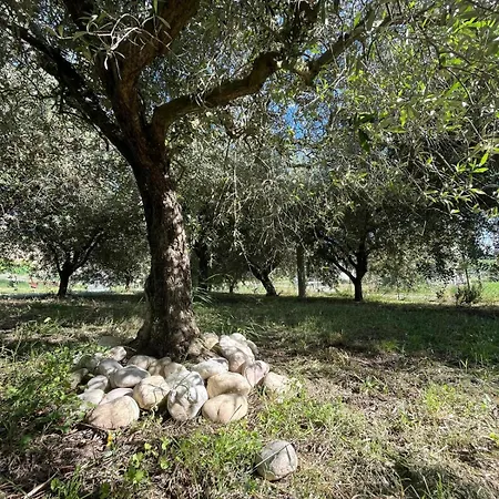 La Casa Nell'orto Bed & Breakfast Fermo